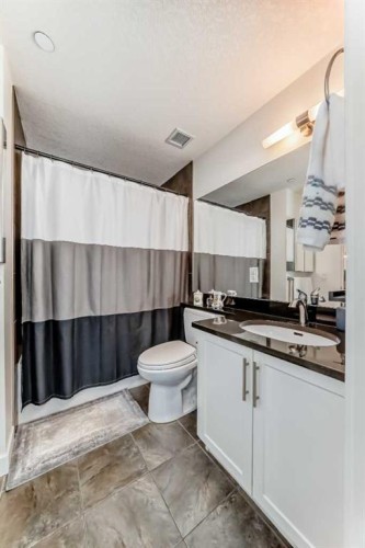 211-1005A Westmount Drive, Strathmore, AB - Indoor Photo Showing Bathroom