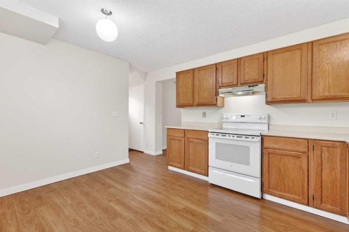 159 Shawglen Road Sw, Calgary, AB - Indoor Photo Showing Kitchen