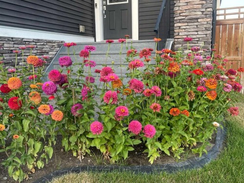 201 Aspenmere Way, Chestermere, AB - Outdoor