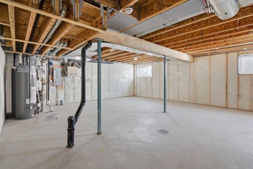 119 Carrington Circle Nw, Calgary, AB - Indoor Photo Showing Basement