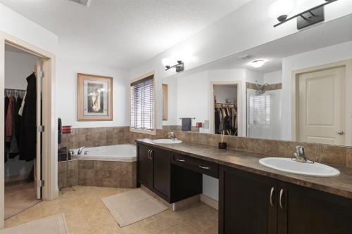 125 Seagreen Manor, Chestermere, AB - Indoor Photo Showing Bathroom