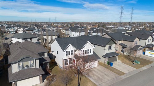 125 Seagreen Manor, Chestermere, AB - Outdoor