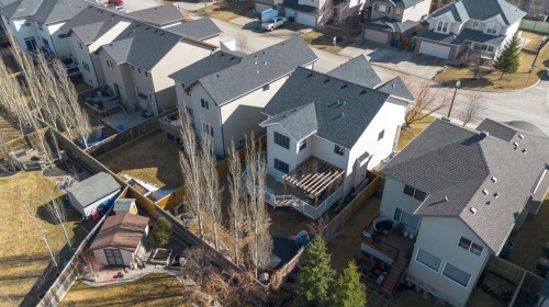 125 Seagreen Manor, Chestermere, AB - Outdoor