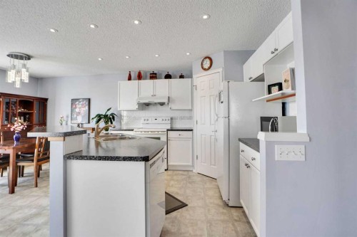 234 Saddlecreek Point Ne, Calgary, AB - Indoor Photo Showing Kitchen With Double Sink