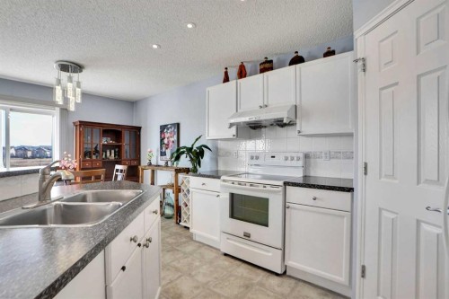 234 Saddlecreek Point Ne, Calgary, AB - Indoor Photo Showing Kitchen With Double Sink