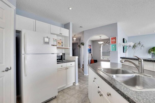 234 Saddlecreek Point Ne, Calgary, AB - Indoor Photo Showing Kitchen With Double Sink