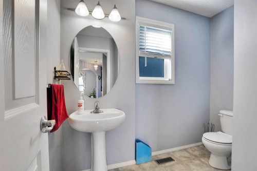 234 Saddlecreek Point Ne, Calgary, AB - Indoor Photo Showing Bathroom