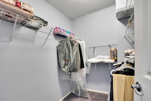 234 Saddlecreek Point Ne, Calgary, AB - Indoor With Storage