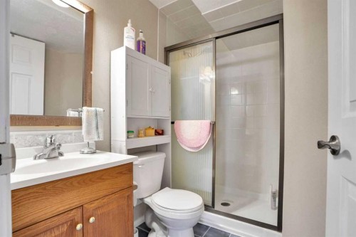 234 Saddlecreek Point Ne, Calgary, AB - Indoor Photo Showing Bathroom