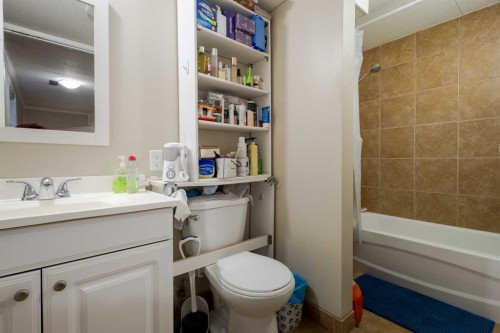 24 Bedford Road Ne, Calgary, AB - Indoor Photo Showing Bathroom