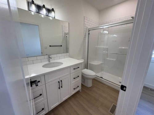 427 Meadowlark Way, Vulcan, AB - Indoor Photo Showing Bathroom