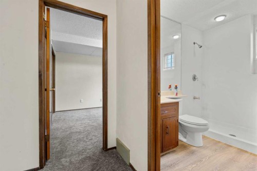 27 Beddington Road Ne, Calgary, AB - Indoor Photo Showing Bathroom