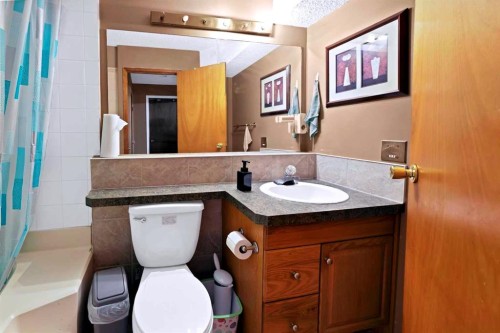 127 Whitehaven Road Ne, Calgary, AB - Indoor Photo Showing Bathroom