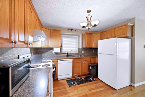 127 Whitehaven Road Ne, Calgary, AB - Indoor Photo Showing Kitchen With Double Sink