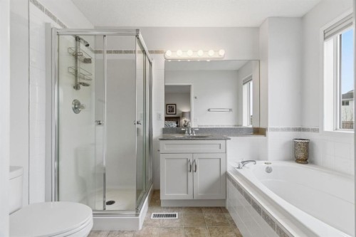3611 Douglas Ridge Boulevard Se, Calgary, AB - Indoor Photo Showing Bathroom