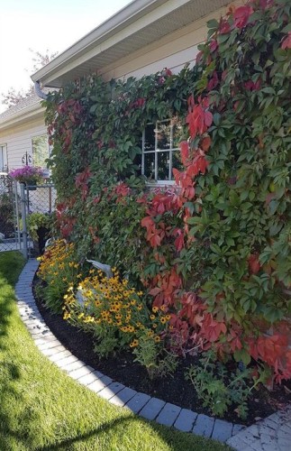 60 Inverness Square Se, Calgary, AB - Outdoor