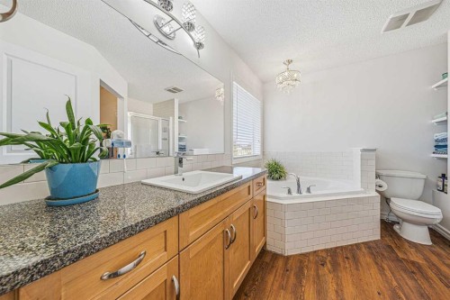 31 Jumping Pound Rise, Cochrane, AB - Indoor Photo Showing Bathroom