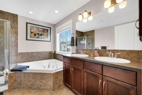 88 Silverado Saddle Avenue Sw, Calgary, AB - Indoor Photo Showing Bathroom