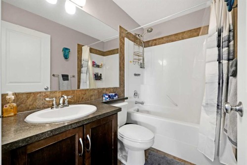 88 Silverado Saddle Avenue Sw, Calgary, AB - Indoor Photo Showing Bathroom