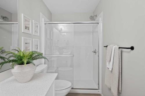 214-140 Mahogany Street Se, Calgary, AB - Indoor Photo Showing Bathroom