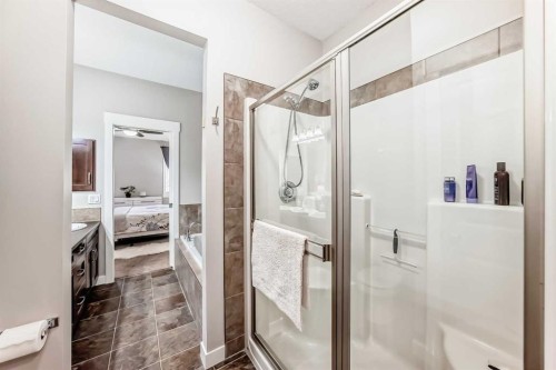 160 Sienna Passage, Chestermere, AB - Indoor Photo Showing Bathroom