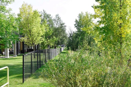 160 Sienna Passage, Chestermere, AB - Outdoor