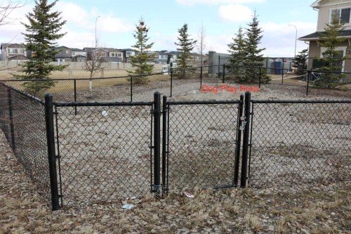 3413-181 Skyview Ranch Manor Ne, Calgary, AB - Outdoor