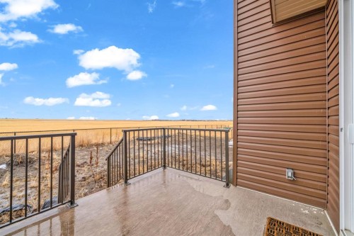 163 Sandpiper Bend, Chestermere, AB - Outdoor