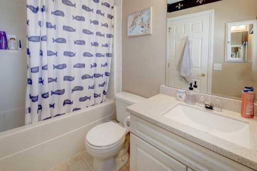 22 Tarington Landing Ne, Calgary, AB - Indoor Photo Showing Bathroom