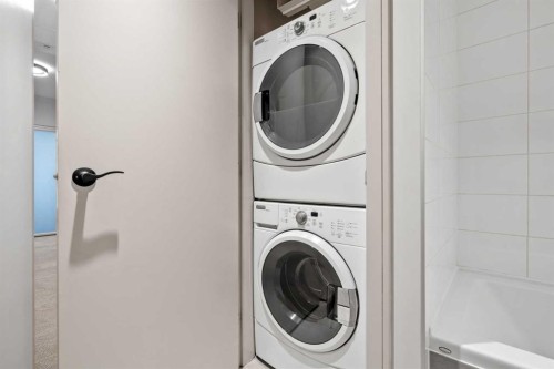 317-222 Riverfront Avenue Sw, Calgary, AB - Indoor Photo Showing Laundry Room
