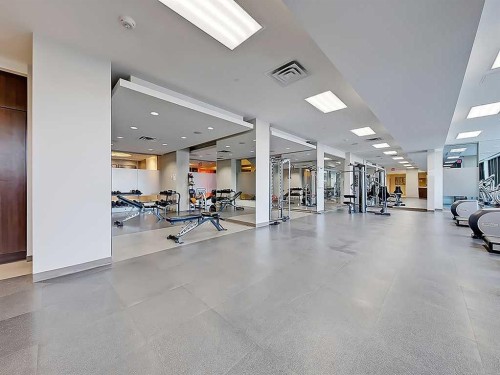 317-222 Riverfront Avenue Sw, Calgary, AB - Indoor Photo Showing Gym Room