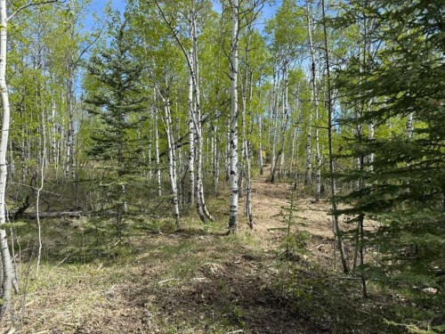 40-29066 Range Road 52, Rural Mountain View County, AB 
