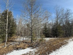 40-29066 Range Road 52 Rural Mountain View County, AB T0M 2E0