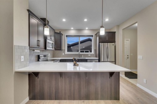 289 Cornerstone Passage Ne, Calgary, AB - Indoor Photo Showing Kitchen With Upgraded Kitchen