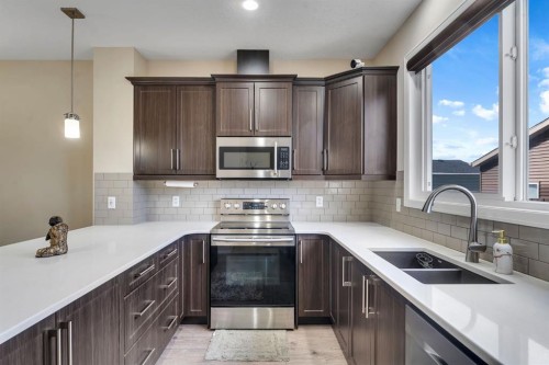 289 Cornerstone Passage Ne, Calgary, AB - Indoor Photo Showing Kitchen With Double Sink With Upgraded Kitchen