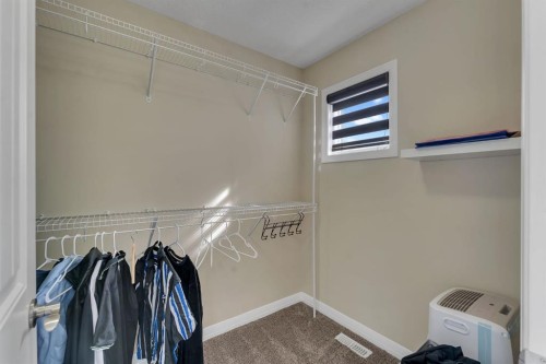 289 Cornerstone Passage Ne, Calgary, AB - Indoor With Storage