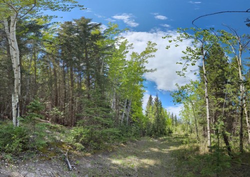 40 Devonian Ridge Place, Rural Rocky View County, AB 