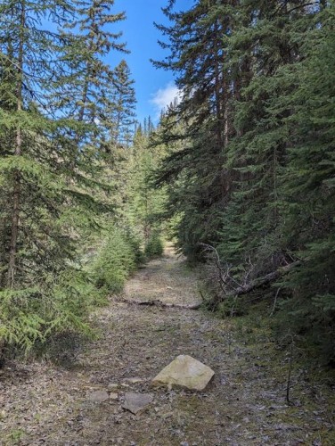 40 Devonian Ridge Place, Rural Rocky View County, AB 