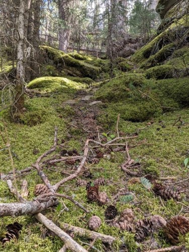 40 Devonian Ridge Place, Rural Rocky View County, AB 