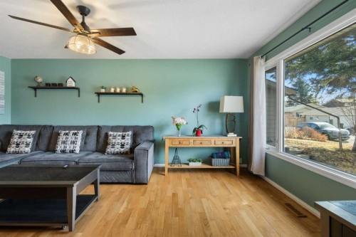 16 Midridge Gardens Se, Calgary, AB - Indoor Photo Showing Living Room
