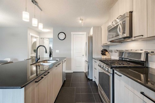 110 Skyview Ranch Manor Ne, Calgary, AB - Indoor Photo Showing Kitchen With Stainless Steel Kitchen With Double Sink With Upgraded Kitchen