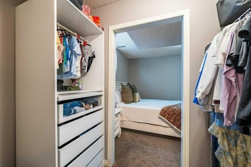 62 Springbluff Boulevard Sw, Calgary, AB - Indoor With Storage