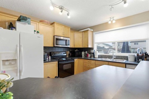 39 Copperfield Terrace Se, Calgary, AB - Indoor Photo Showing Kitchen With Double Sink