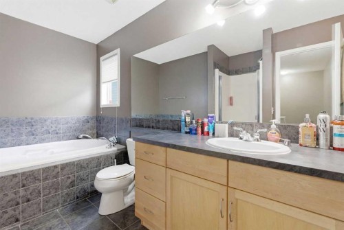 39 Copperfield Terrace Se, Calgary, AB - Indoor Photo Showing Bathroom