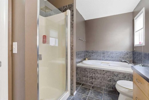 39 Copperfield Terrace Se, Calgary, AB - Indoor Photo Showing Bathroom