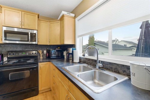 39 Copperfield Terrace Se, Calgary, AB - Indoor Photo Showing Kitchen With Double Sink