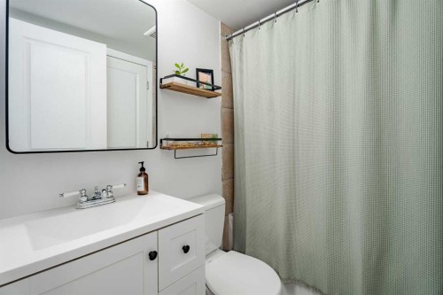 202-340 4 Avenue Ne, Calgary, AB - Indoor Photo Showing Bathroom