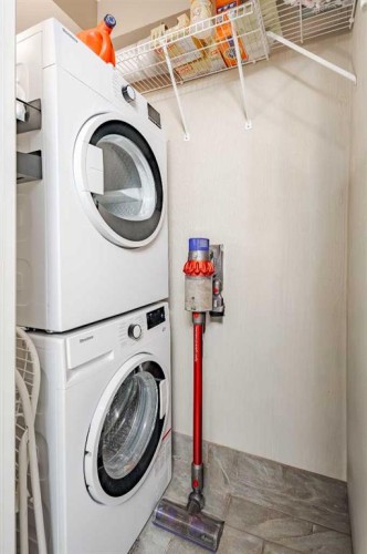202-340 4 Avenue Ne, Calgary, AB - Indoor Photo Showing Laundry Room