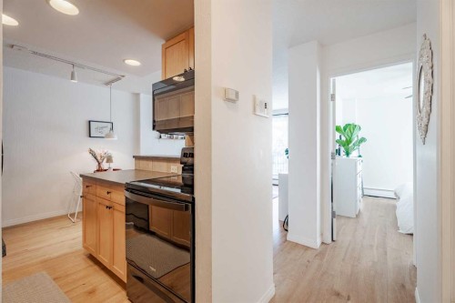 202-340 4 Avenue Ne, Calgary, AB - Indoor Photo Showing Kitchen