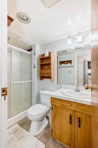 2205 80 Avenue Se, Calgary, AB - Indoor Photo Showing Bathroom
